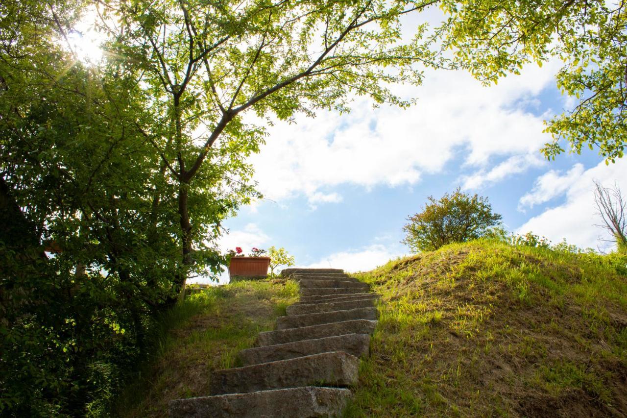 Bed and Breakfast Ca' Nova Valverde  Zewnętrze zdjęcie